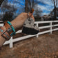 Heart Cowhide Keychain w/ Turquoise.